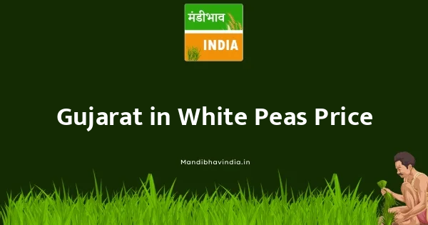 White Peas भाव